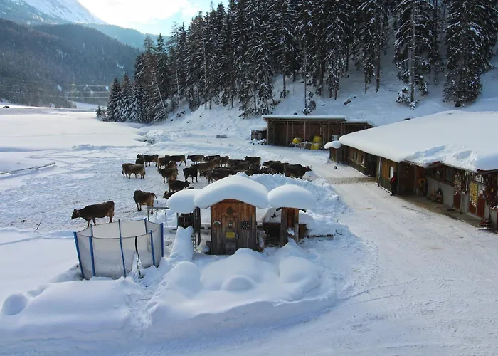 Valrunzhof Direkt Am Seilbahncenter Agroturismo *